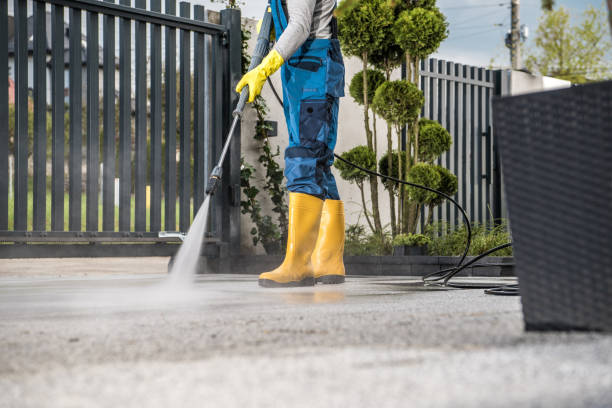 Best Dumpster Area Cleaning  in Hauppauge, NY